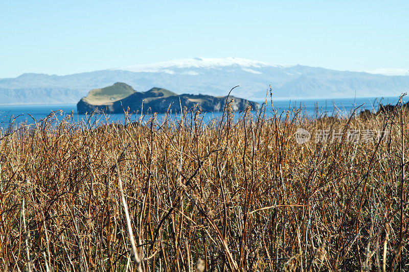 Vestmannaeyjar 摘要